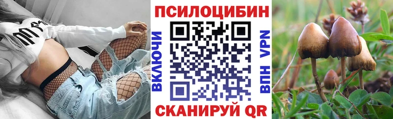 Галлюциногенные грибы Psilocybine cubensis Сусуман
