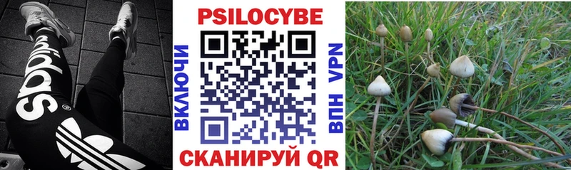 Галлюциногенные грибы ЛСД  omg ONION  Сусуман 